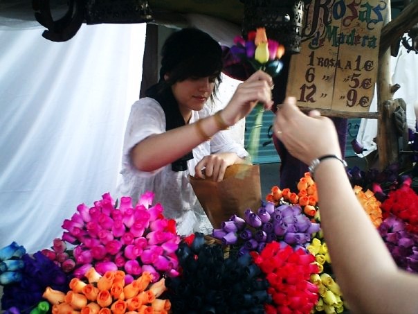 アルカラ・デ・エナレス　スペイン　エルキホーテマーケット　バラを売る女性