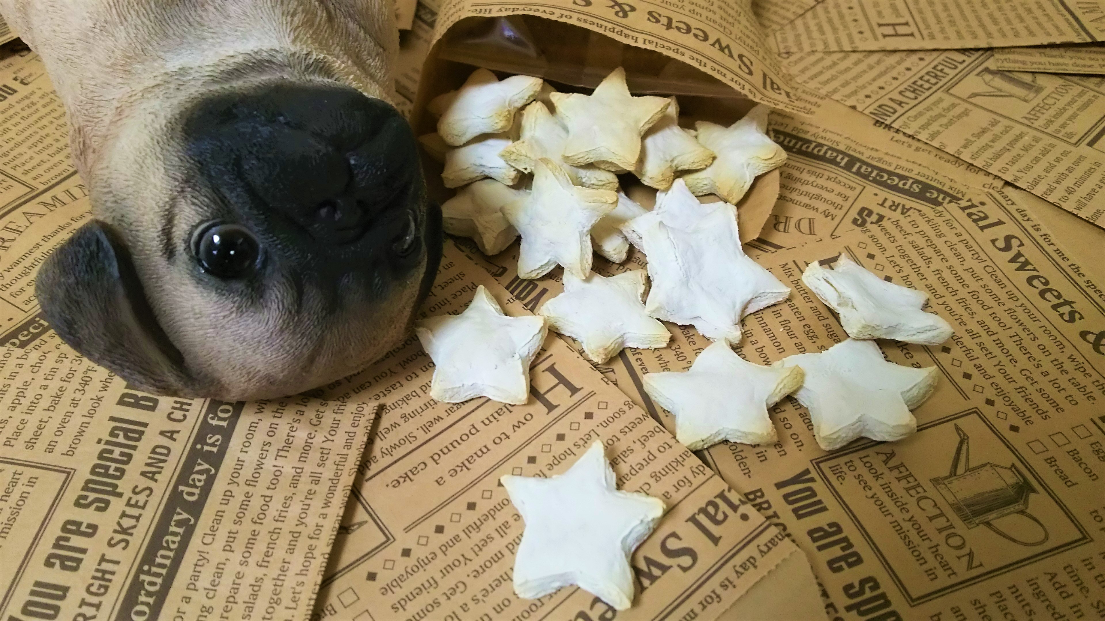 さつまいもと米粉の犬用クッキー ワンちゃん安心素材レシピ パウンドケーキ専門店 Mipoundtokyo
